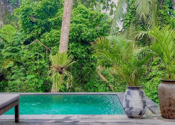 Niyamas Ubud